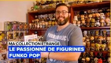 Une image du collectionneur de figurines pop