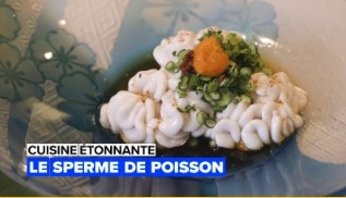 recette insolite de shirako