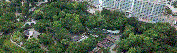 Le parc de Kowloon