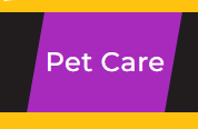 La rubrique Pet Care de Veedz