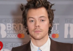 harry styles.png