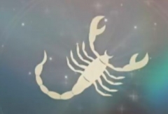 Le signe astrologique du scorpion