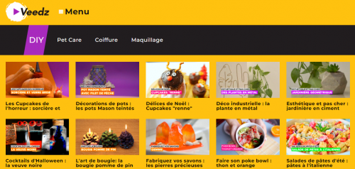 Des tutoriels sur Veedz