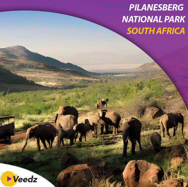 Le Parc national du Pilanesberg